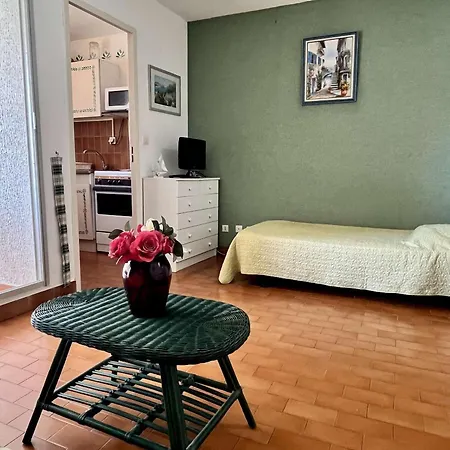 Studio Confortable A 400M De La Mer Pour 3 A Argeles-Sur-Mer - Fr-1-225-548